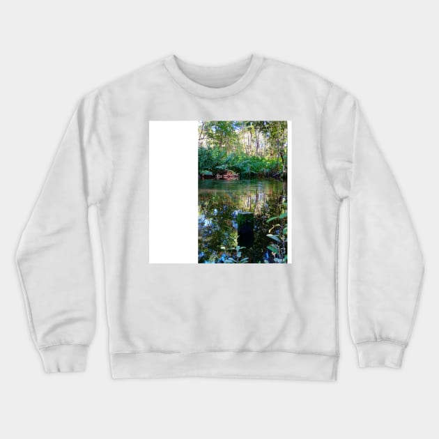 celestun ria wetland ecopark ecopop landscape photo in yucatan eye of the water green park Crewneck Sweatshirt by jorge_lebeau